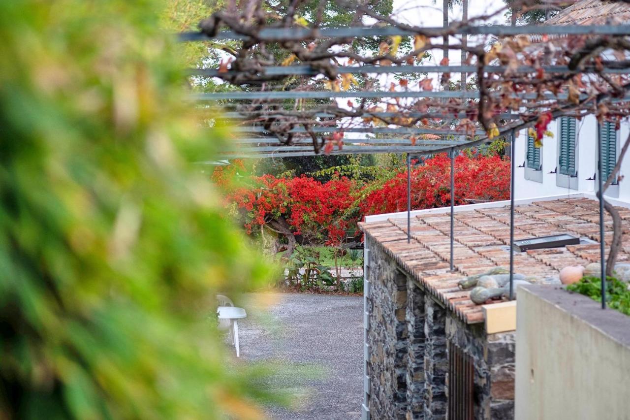 Ourmadeira - Loja Da Lenha, Charming Apartment Funchal  Exterior foto